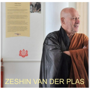 zeshin van der plas